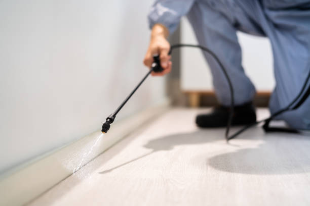 Licensed Pest Control service in Harristown, IL - Show Me Pest Control