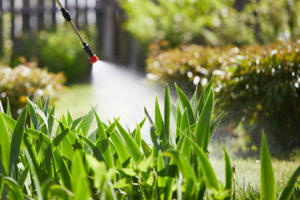 24/7 Emergency Mosquito Control experts in Harristown, IL