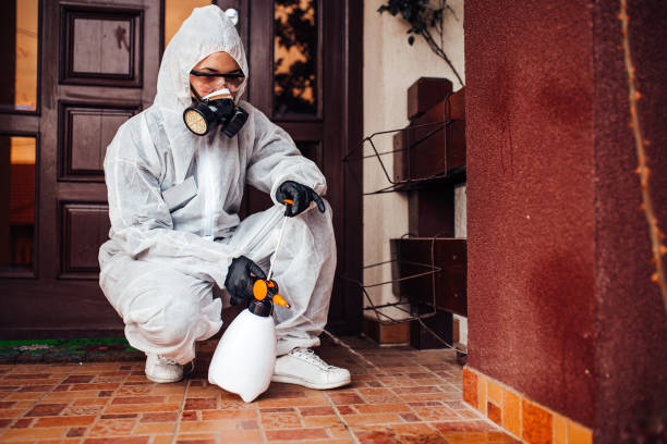 Reliable Mosquito Control contractor in Harristown, IL by Show Me Pest Control