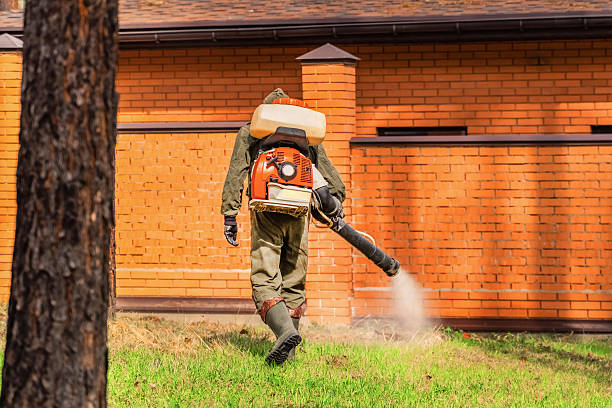 Top rated local Mosquito Control specialists in Harristown, IL